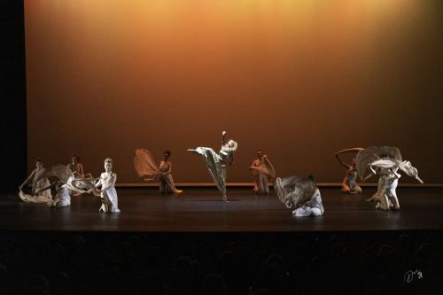 spectacle école de danse Antibes Studio Pirouette DANS-LE-DESERT-Le-ROI-LION