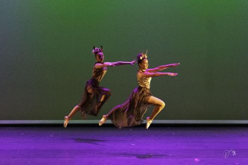 spectacle école de danse Antibes Studio Pirouette OLIES-GAZELLES-Le-ROI-LION