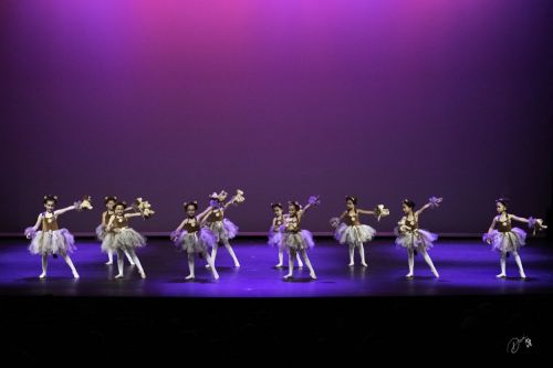 spectacle école de danse Antibes Studio Pirouette NAISSANCE-DE-SIMBA-Le-ROI-LION