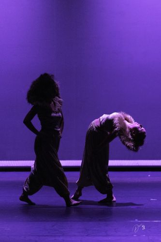 spectacle école de danse Antibes Studio Pirouette ATTAQUE-FRONTALE-Le-ROI-LION