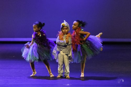 spectacle école de danse Antibes Studio Pirouette DANS-LES-AIRS-Le-ROI-LION