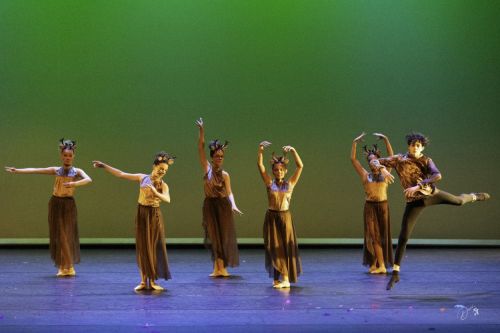 spectacle école de danse Antibes Studio Pirouette JOLIES-GAZELLES-Le-ROI-LION