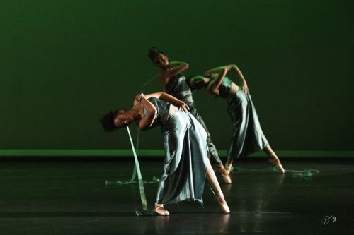 spectacle école de danse Antibes Studio Pirouette LA-JUNGLE-Le-ROI-LION