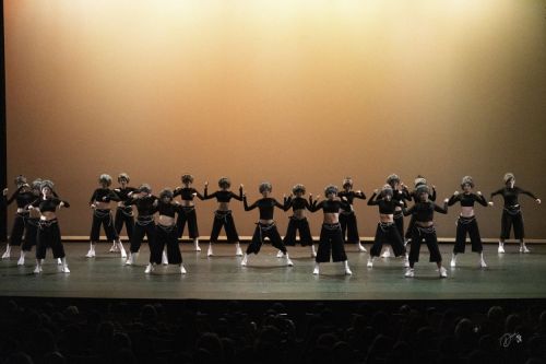 spectacle école de danse Antibes Studio Pirouette LE-CIMETIERE-DES-ELEPHANTS-Le-ROI-LION