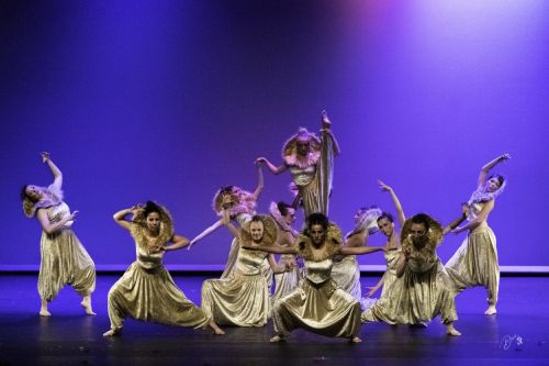 spectacle école de danse Antibes Studio Pirouette LE-COMBAT-DES-LIONS-Le-ROI-LION