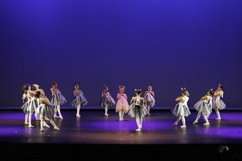 spectacle école de danse Antibes Studio Pirouette NAISSANCE-DE-SIMBA-Le-ROI-LION