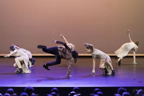spectacle école de danse Antibes Studio Pirouette SAUVAGES-Le-ROI-LION